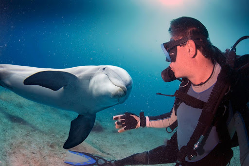 Schnorcheln in Hurghada: Die schönsten Spots im Roten Meer